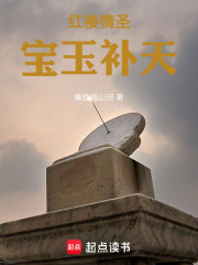 红楼情圣宝玉补天