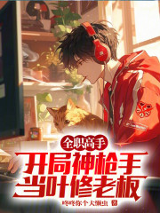 全职高手：开局神枪手当叶修老板