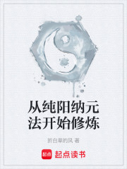 从纯阳纳元法开始修炼