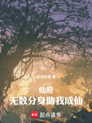 仙府长生：无数分身助我成仙