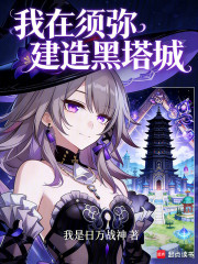 我在须弥建造黑塔城