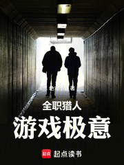 全职猎人游戏极意