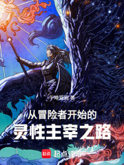 从冒险者开始的灵性主宰之路