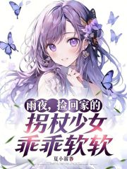 雨夜，捡回家的拐杖少女乖乖软软