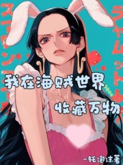 我在海贼世界收藏万物