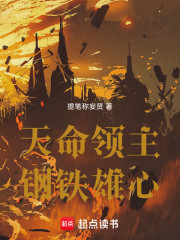天命领主，钢铁雄心