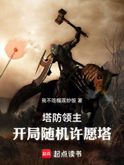 塔防领主，开局随机许愿塔