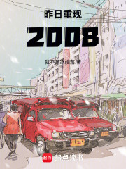 昨日重现：2008