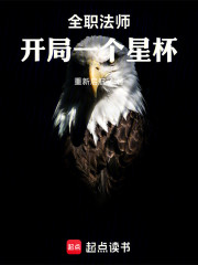 全职法师：开局一个星杯