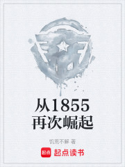 从1855再次崛起