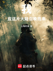 我，应这片大陆召唤而来