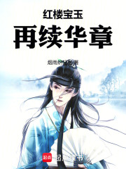 红楼宝玉，再续华章
