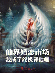 仙界婚恋市场，我成了终极评估师