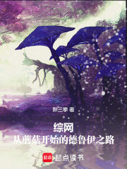 综网：从蘑菇开始的德鲁伊之路