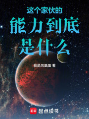 这个家伙的能力到底是什么