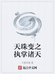 天珠变之执掌诸天