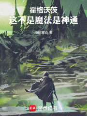 霍格沃茨：赫敏的剑仙哥哥