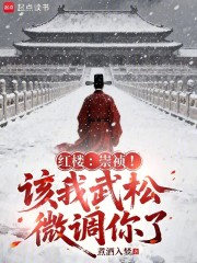 红楼：崇祯！该我武松微调你了