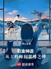 职业神道：从工程师到赛博之神