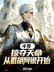 斗罗：掠夺天命，从截胡阿银开始