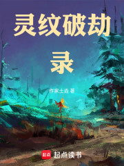 灵纹破劫录