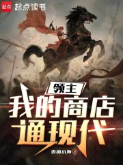 领主：我的商店通现代