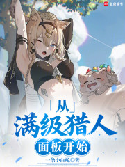 从满级猎人面板开始