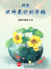 精灵：从神圣计划开始