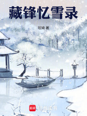 藏锋忆雪录