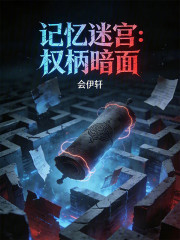 记忆迷宫：权柄暗面