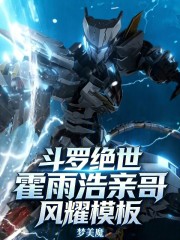 斗罗绝世：霍雨浩亲哥，风耀模板