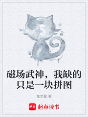 磁场武神，我缺的只是一块拼图