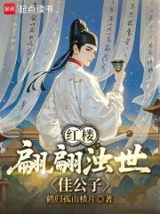 红楼：翩翩浊世佳公子