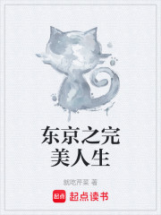 东京之完美人生