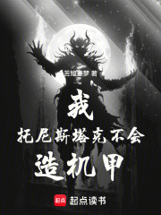 我，托尼斯塔克，不会造机甲！