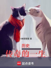 历史：传奇的一生