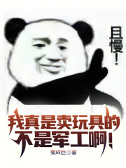 我真是卖玩具的，不是军工啊！