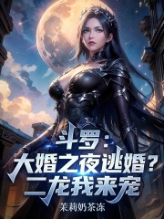 斗罗：大婚之夜逃婚？二龙我来宠