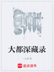 大都深藏录