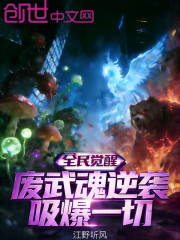 全民武魂：只有我知道觉醒法则