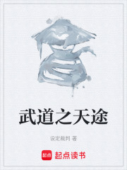 武道之天途