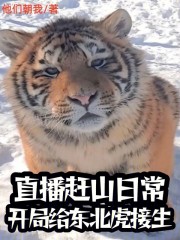 直播赶山日常：开局给东北虎接生