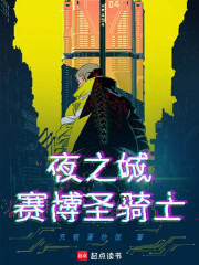 夜之城赛博圣骑士