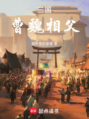 三国：曹魏相父