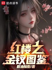 红楼之金钗图鉴