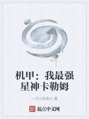 机甲：我最强星神卡勒姆