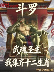 斗罗武魂圣主我集齐十二生肖