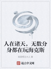 人在诸天，无数分身都在玩海克斯