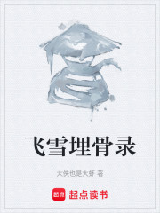 飞雪埋骨录