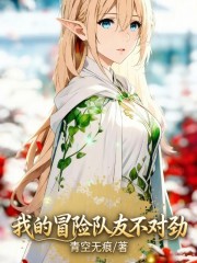 我的冒险队友不对劲